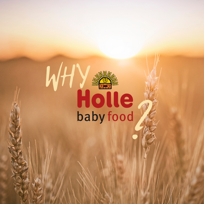 Why choose Holle for your baby?